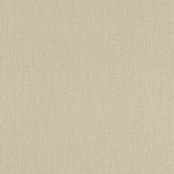 Glam 724400 Rasch Duvar Kağıdı