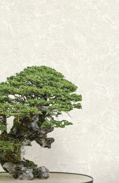 Emiliana Parati Zen 72965 Duvar Kağıdı