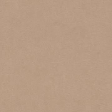 Rasch Paraiso 330045 Duvar Kağıdı