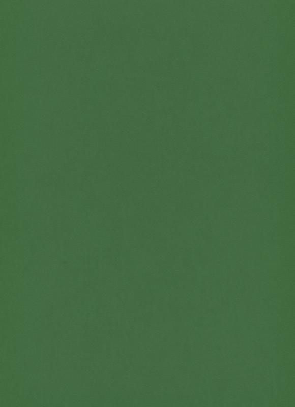Erismann Instawalls 6342-35 Duvar Kağıdı