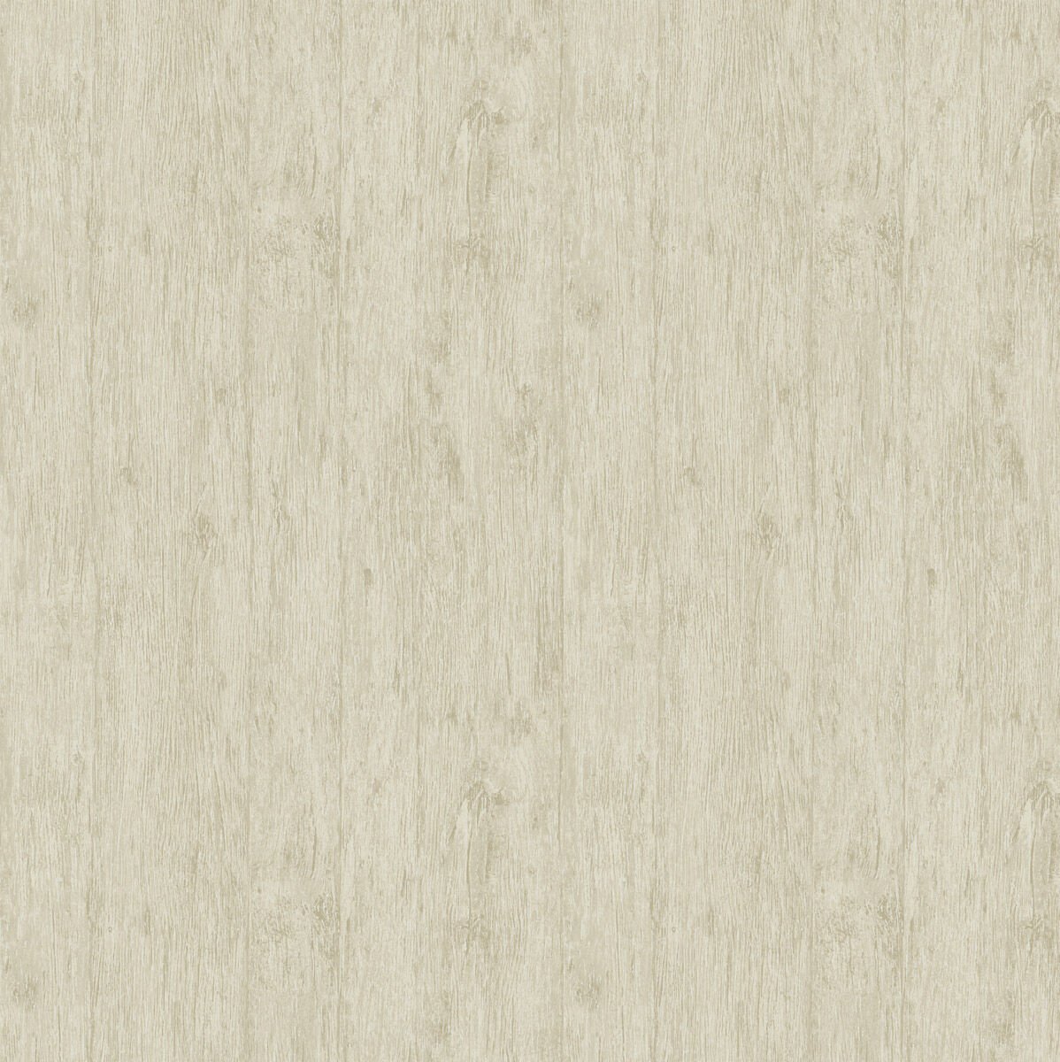 SketchTwenty3 Pavone PA 1633 Duvar Kağıdı