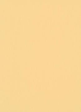 Erismann Instawalls 2 10080-03 Duvar Kağıdı
