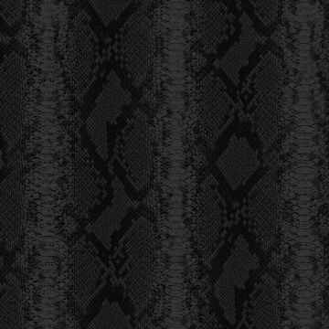 Philipp Plein 2 Z81034 Duvar Kağıdı