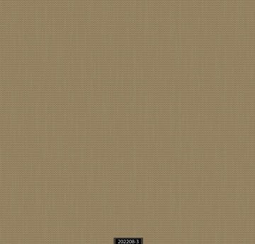 Ravena Kahkashan 202208-3 Duvar Kağıdı