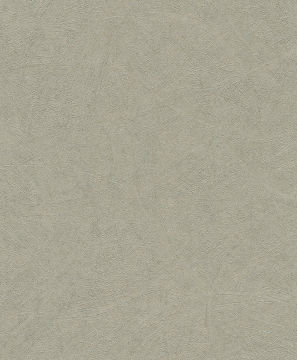 Rasch Concrete 520279 Duvar Kağıdı
