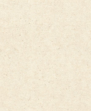 Rasch Concrete 520835 Duvar Kağıdı