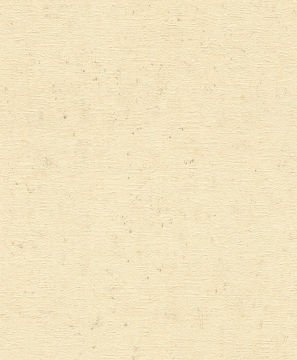 Rasch Concrete 520842 Duvar Kağıdı