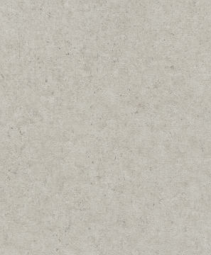 Rasch Concrete 520859 Duvar Kağıdı