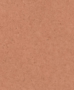 Rasch Concrete 520880 Duvar Kağıdı