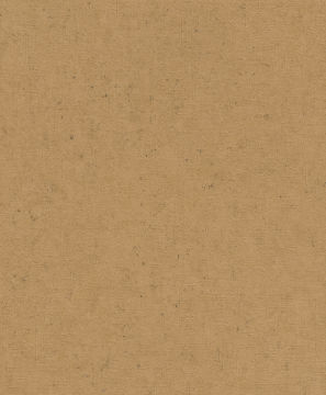 Rasch Concrete 520897 Duvar Kağıdı