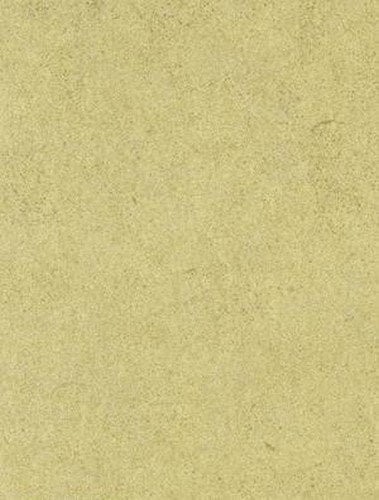 Khroma Kolor POD 408 Duvar Kağıdı