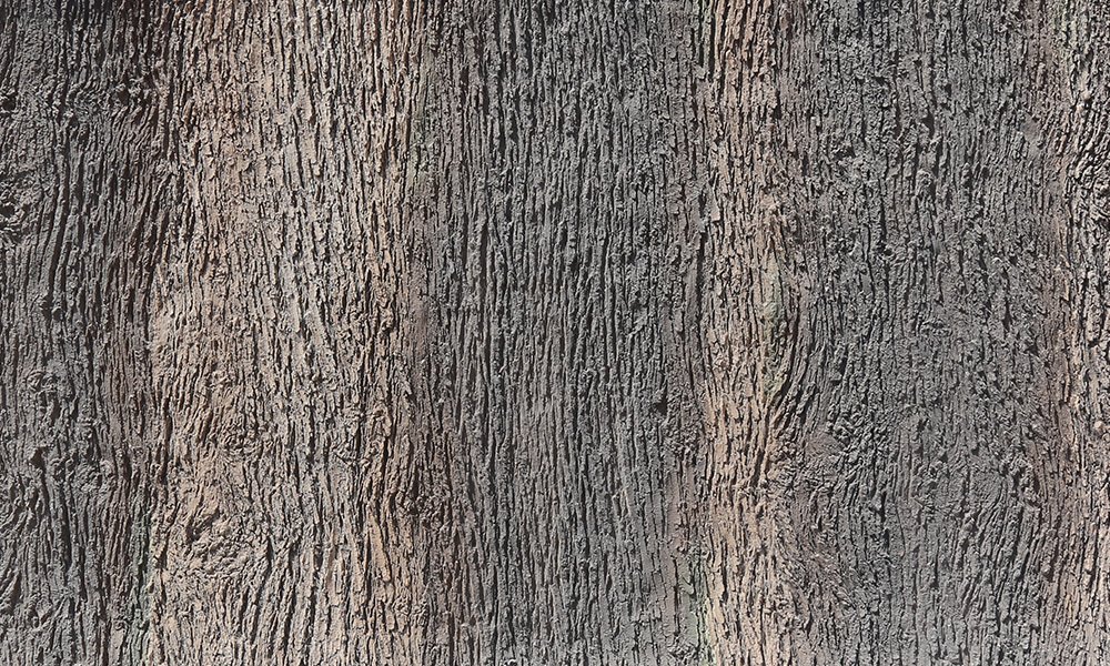 Paneldeko Pino Foresta Dekoratif Duvar Paneli