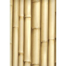 Ugepa Bluff J223-17 Duvar Kağıdı