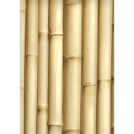 Ugepa Bluff J223-17 Duvar Kağıdı