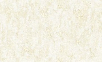 Decowall Armani 3014-05 Duvar Kağıdı