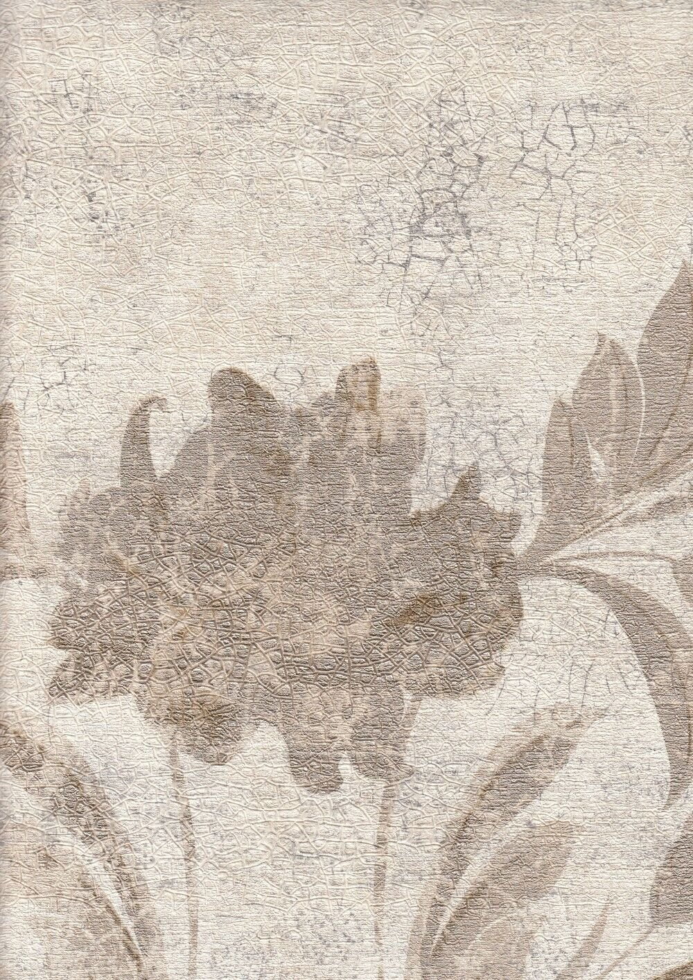 Ravena Vesta 572211-3 Duvar Kağıdı