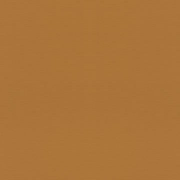 Rasch Rhapsody 688054 Duvar Kağıdı