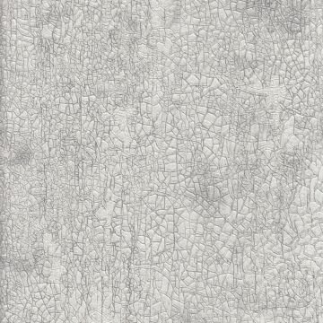 Yasham Hit Vol1 11536-4 Duvar Kağıdı