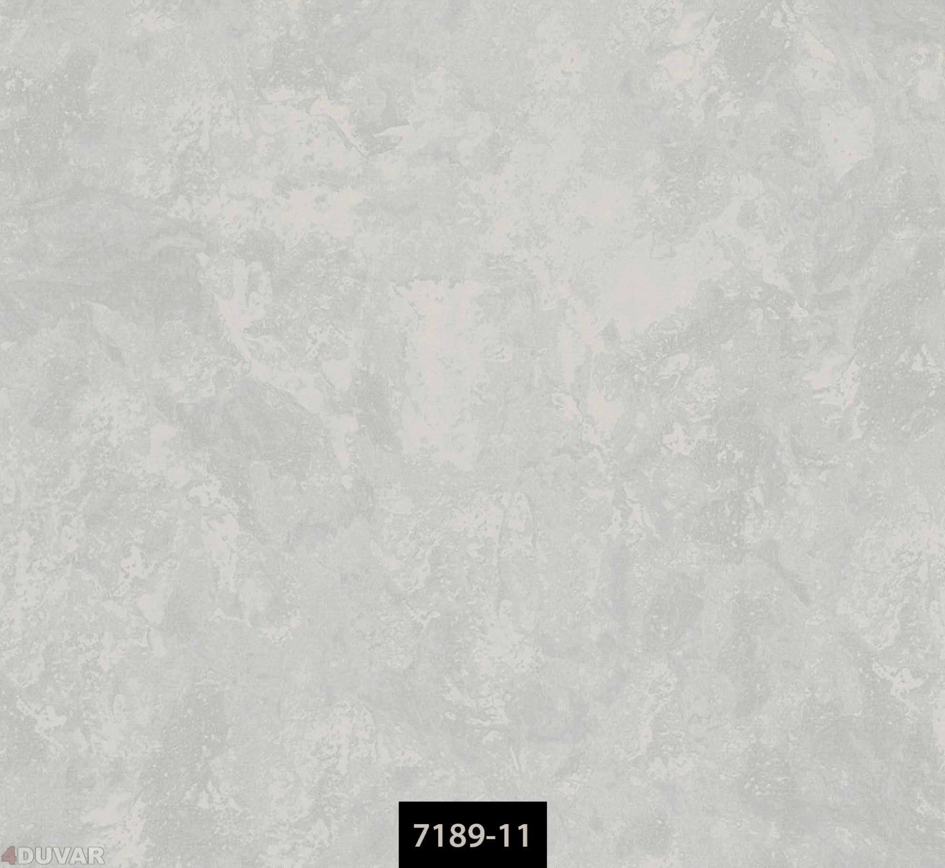Valerian 7189-11 Duvar Kağıdı