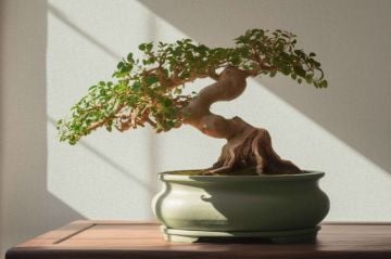 As Creation Jade 390398 Duvar Kağıdı