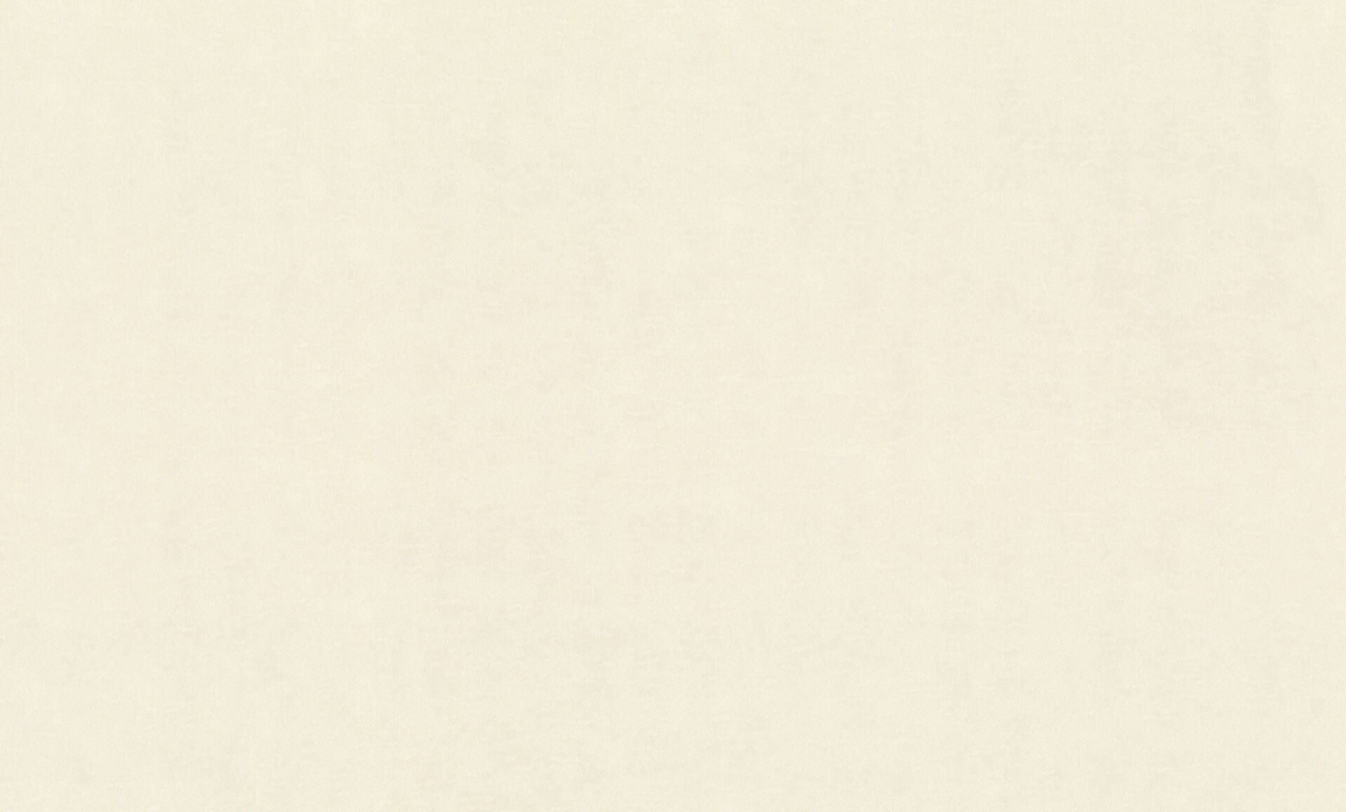 Rasch Wall Textures XL Vol 3 965001 Duvar Kağıdı
