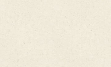 Rasch Wall Textures XL Vol 3 974201 Duvar Kağıdı