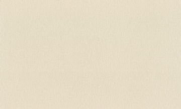 Rasch Wall Textures XL Vol 3 979374 Duvar Kağıdı