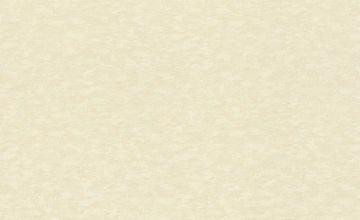 Rasch Wall Textures XL Vol 3 964813 Duvar Kağıdı