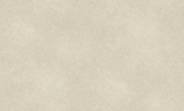 Rasch Wall Textures XL Vol 3 973013 Duvar Kağıdı