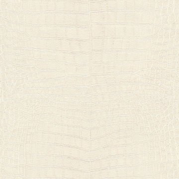 Rasch African Queen III 751321 Duvar Kağıdı