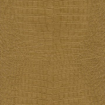 Rasch African Queen III 751369 Duvar Kağıdı