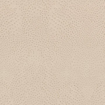 Rasch African Queen III 751512 Duvar Kağıdı