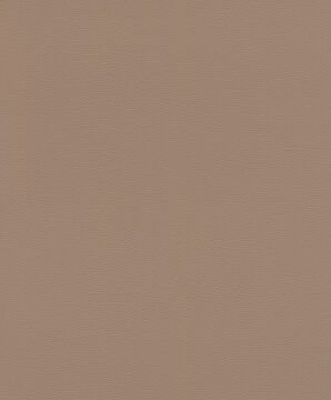 Rasch African Queen III 752724 Duvar Kağıdı