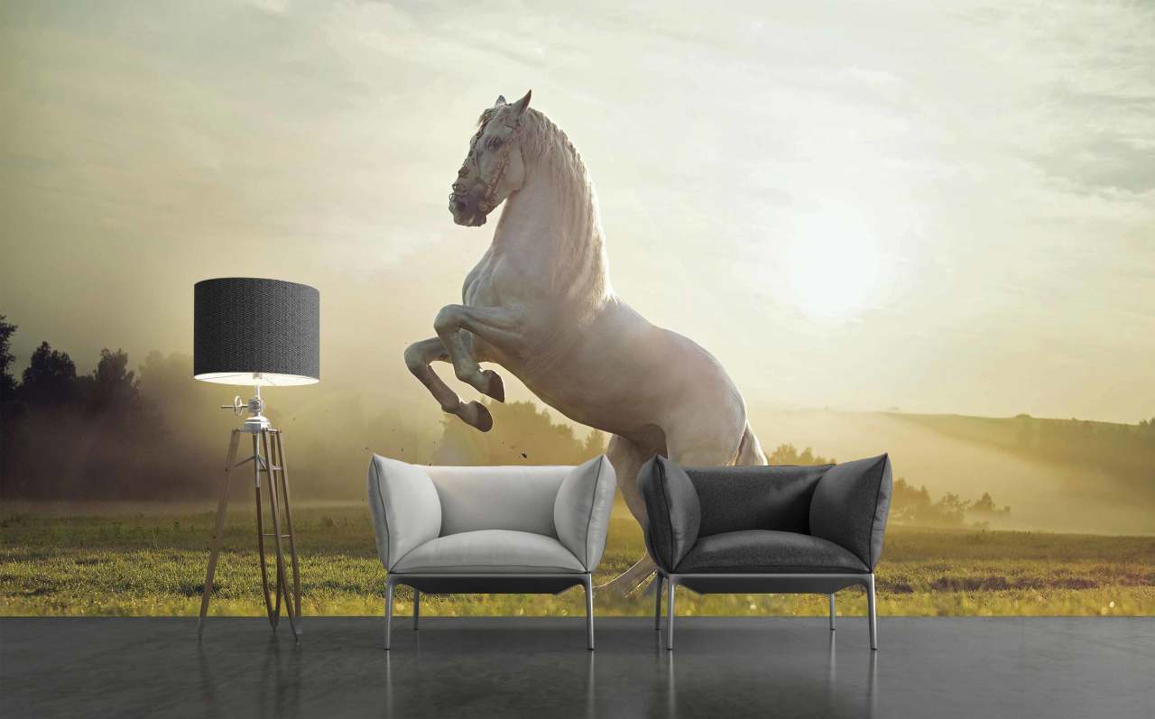 Adawall Moneta M802 Serisi Özel Baskı Poster Duvar Kağıdı