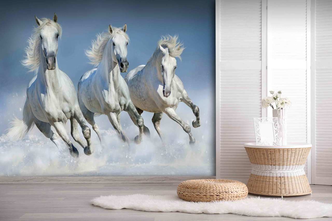 Adawall Moneta M803 Serisi Özel Baskı Poster Duvar Kağıdı