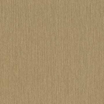 Rasch Curiosity 537703 Duvar Kağıdı