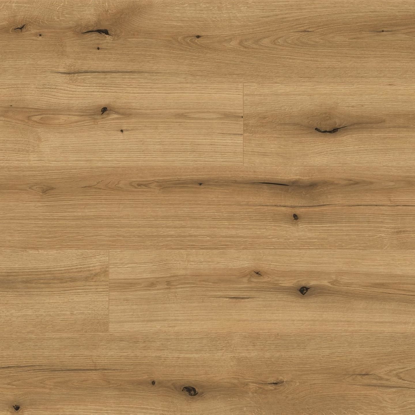 Kaindl Natural Touch Standart K5573 Oak Evoke Coast Laminat Parke
