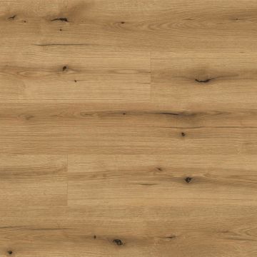 Kaindl Natural Touch Standart K5573 Oak Evoke Coast Laminat Parke