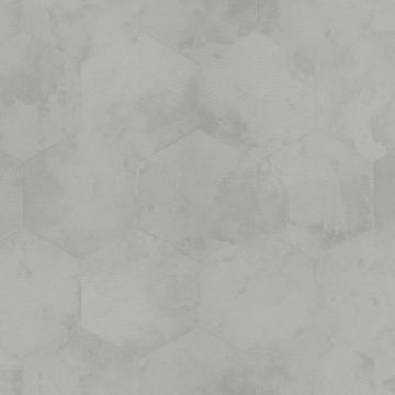 Zambaiti Parati Philipp Plein Z80003 Duvar Kağıdı