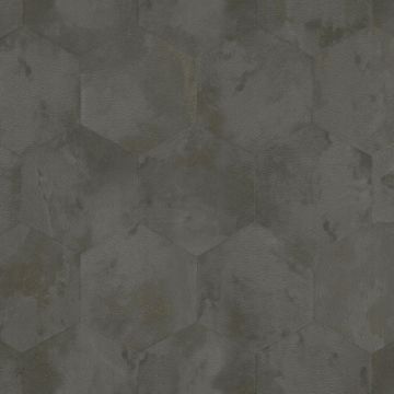 Zambaiti Parati Philipp Plein Z80004 Duvar Kağıdı