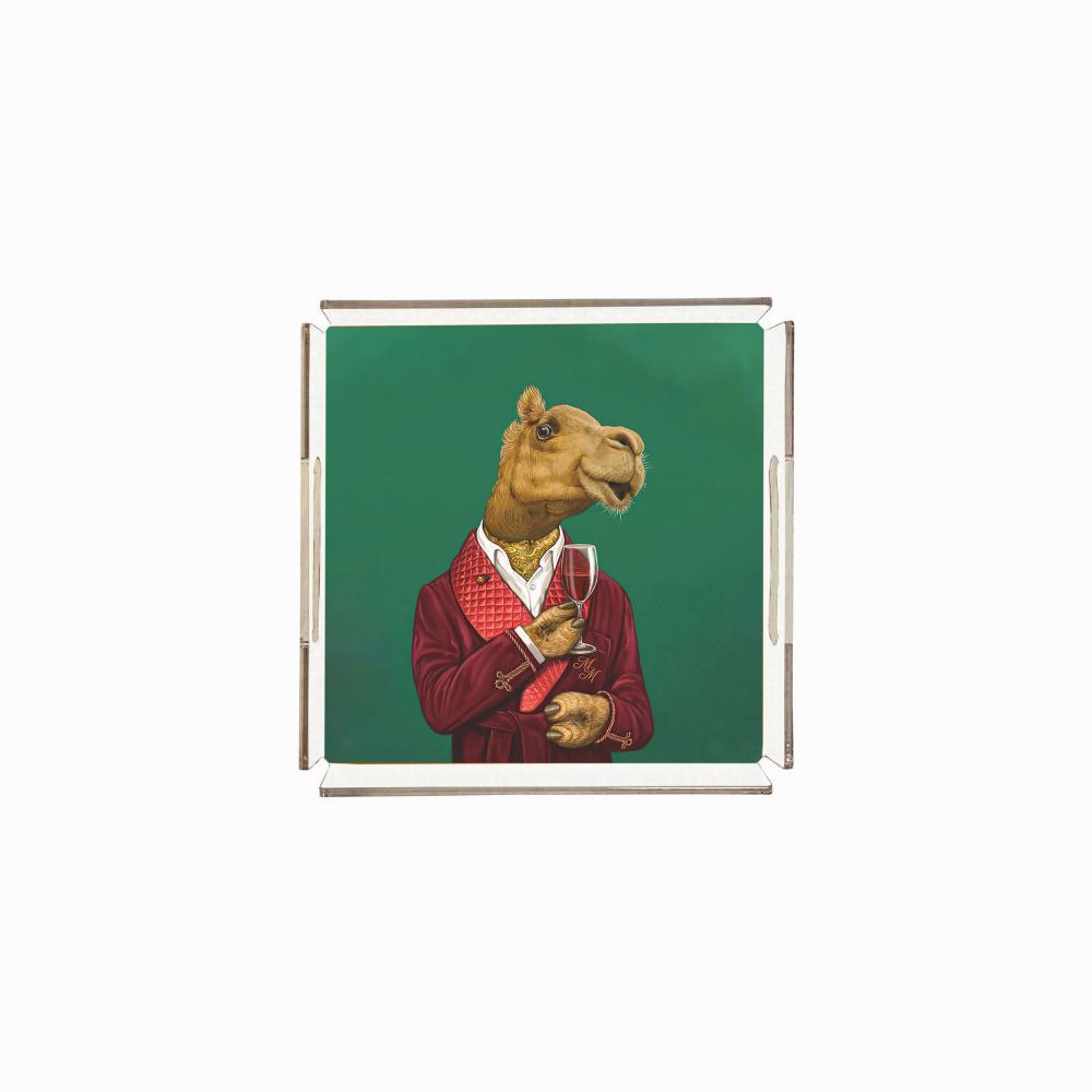 Mr. Camel Pleksi Tepsi PT2102 - 25cm*25cm