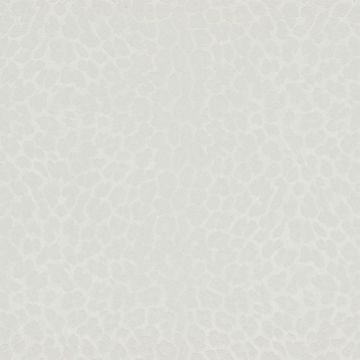 Zambaiti Parati Philipp Plein Z80041 Duvar Kağıdı