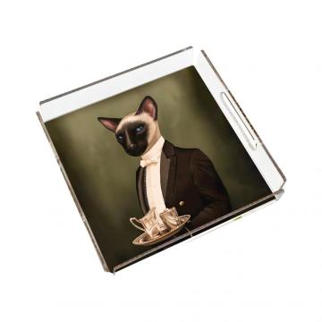 Mr. Cat Pleksi Tepsi PT2104 - 40cm*40cm