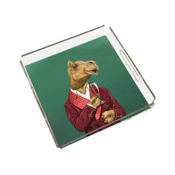 Mr. Camel Pleksi Tepsi PT2102 - 40cm*40cm