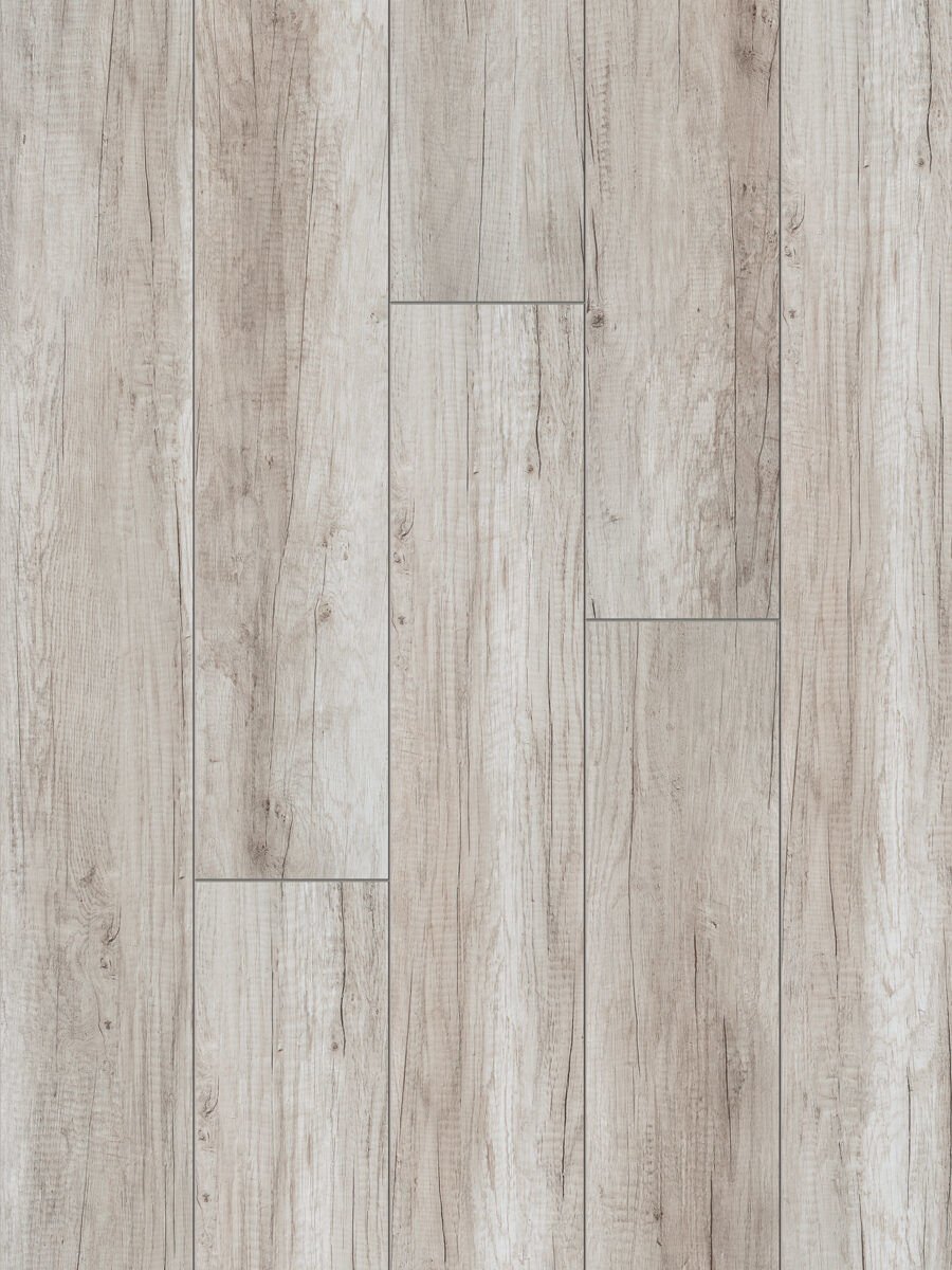 Sensa Cosmopolitan Continental 52346 Oak Light Grey Laminat Parke