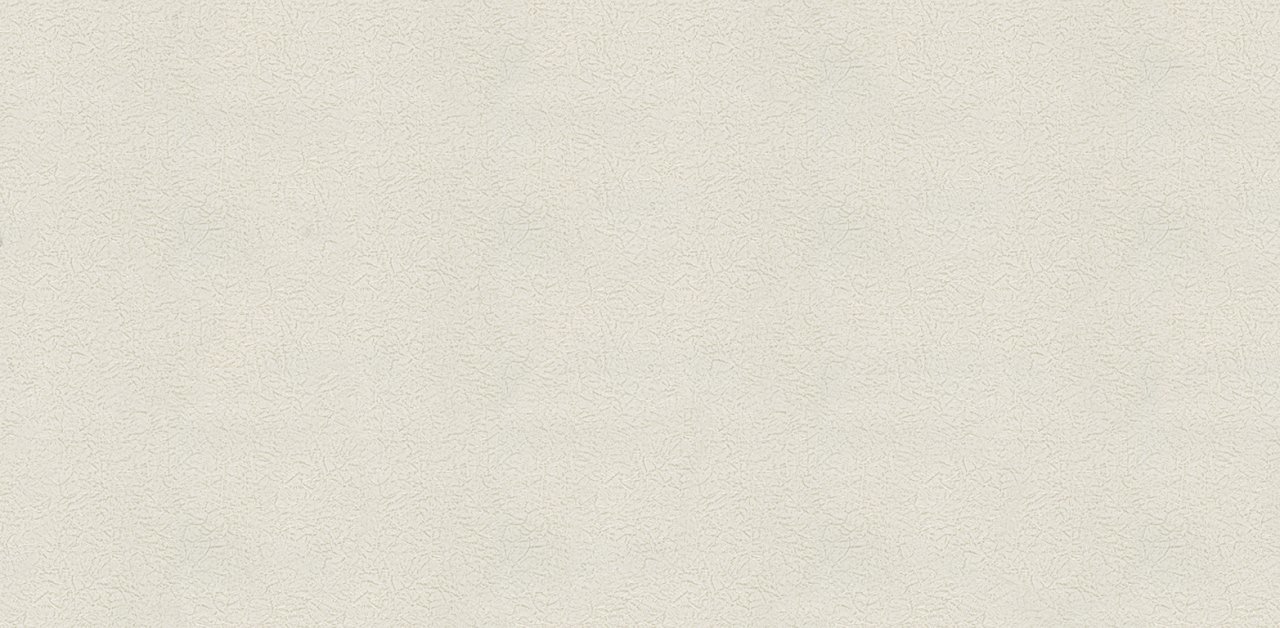Decowall Alloria 3004-03 Duvar Kağıdı