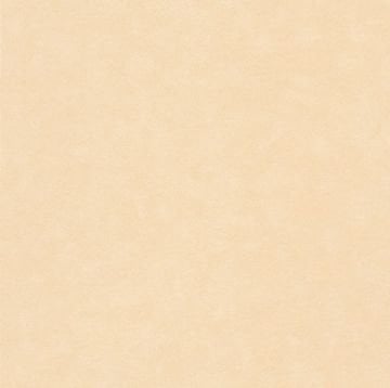 Bambino 123388